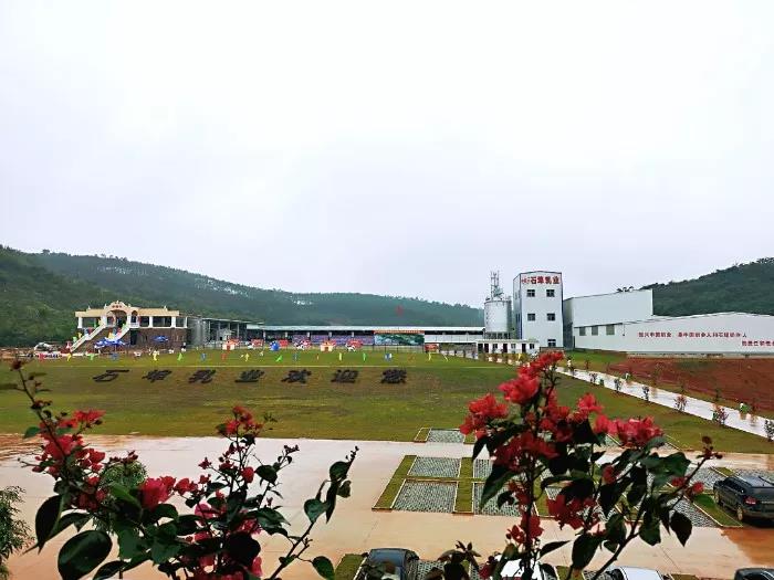 1548138394523954.jpg 0111.jpg